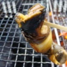 サザエのつぼ焼き よか魚ドットコム レシピ 作り方 By 楽天出店店舗 よか魚ドットコム 楽天レシピ サザエのつぼ焼き よか魚ドットコム レシピ 作り方 By 楽天出店店舗 よか魚ドットコム 楽天レシピ